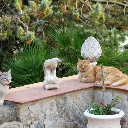 Bed & Breakfast Javea * 자베아