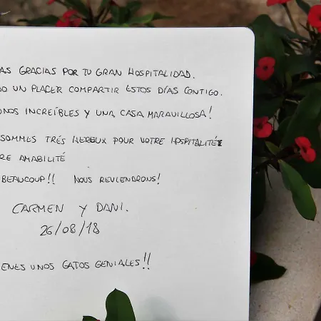 홈스테이 Bed & Breakfast Javea 자베아
