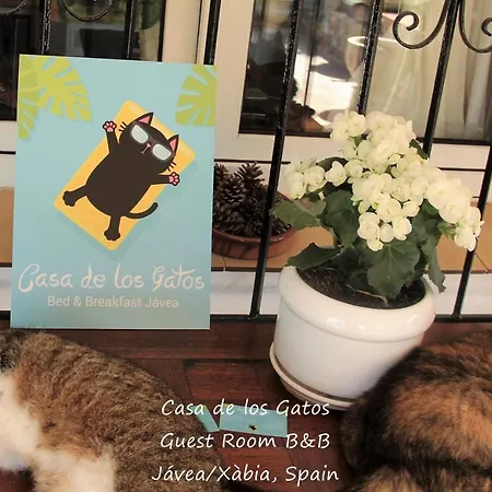 홈스테이 Bed & Breakfast Javea *